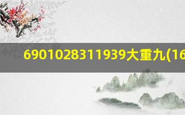 6901028311939大重九(160支)