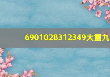 6901028312349大重九