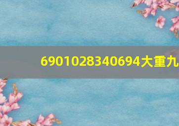 6901028340694大重九