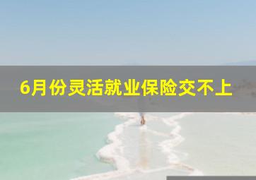 6月份灵活就业保险交不上