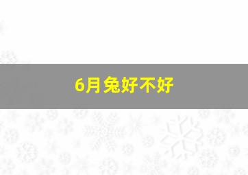 6月兔好不好