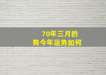 70年三月的狗今年运势如何