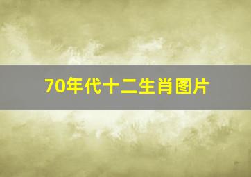 70年代十二生肖图片