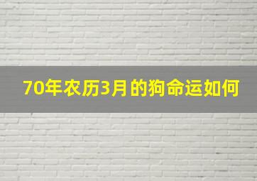 70年农历3月的狗命运如何