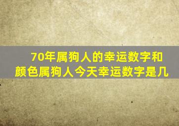 70年属狗人的幸运数字和颜色属狗人今天幸运数字是几