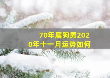 70年属狗男2020年十一月运势如何