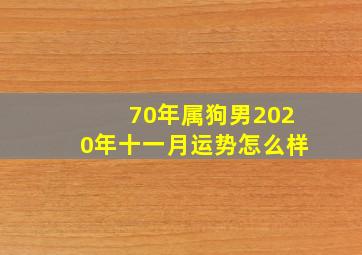 70年属狗男2020年十一月运势怎么样