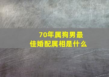 70年属狗男最佳婚配属相是什么