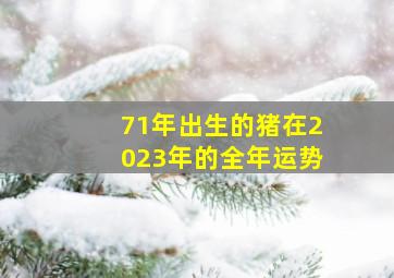 71年出生的猪在2023年的全年运势