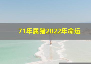 71年属猪2022年命运