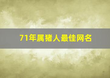 71年属猪人最佳网名