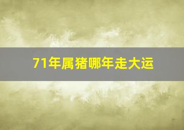 71年属猪哪年走大运