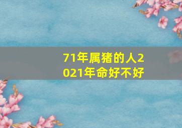 71年属猪的人2021年命好不好