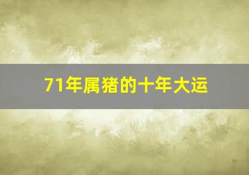 71年属猪的十年大运