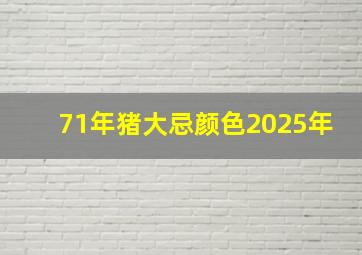 71年猪大忌颜色2025年