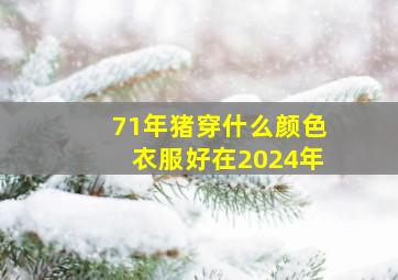 71年猪穿什么颜色衣服好在2024年