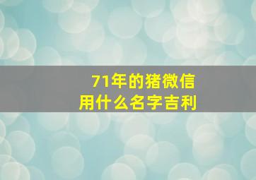 71年的猪微信用什么名字吉利