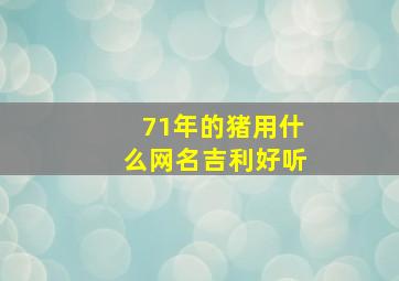 71年的猪用什么网名吉利好听