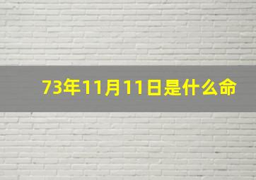 73年11月11日是什么命