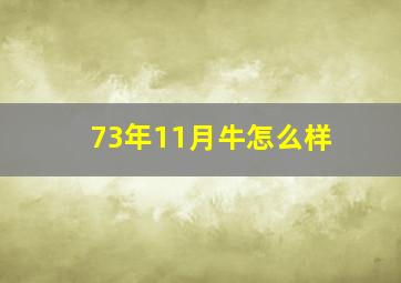 73年11月牛怎么样