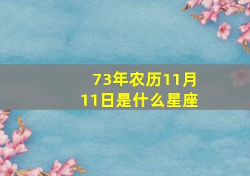 73年农历11月11日是什么星座