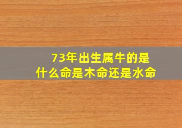 73年出生属牛的是什么命是木命还是水命