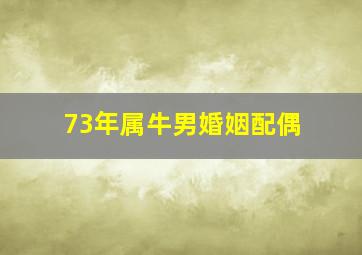 73年属牛男婚姻配偶