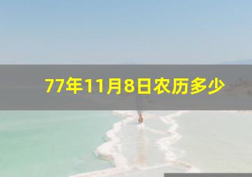 77年11月8日农历多少