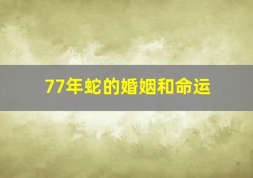 77年蛇的婚姻和命运