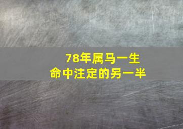 78年属马一生命中注定的另一半