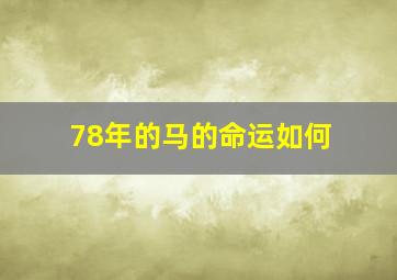 78年的马的命运如何