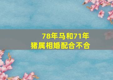 78年马和71年猪属相婚配合不合