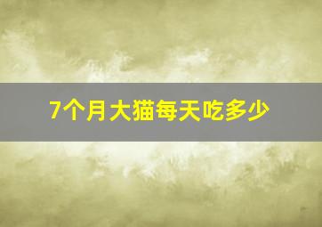 7个月大猫每天吃多少