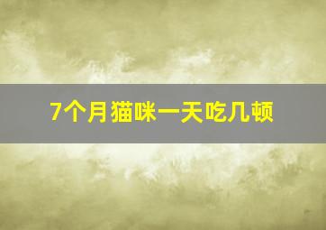 7个月猫咪一天吃几顿