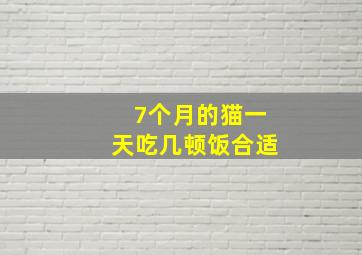 7个月的猫一天吃几顿饭合适