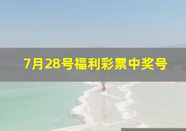 7月28号福利彩票中奖号