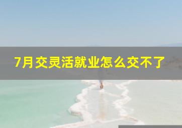 7月交灵活就业怎么交不了