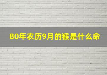 80年农历9月的猴是什么命