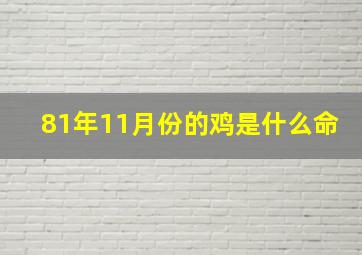 81年11月份的鸡是什么命