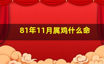 81年11月属鸡什么命