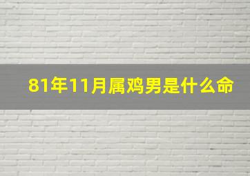 81年11月属鸡男是什么命