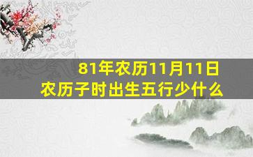 81年农历11月11日农历子时出生五行少什么