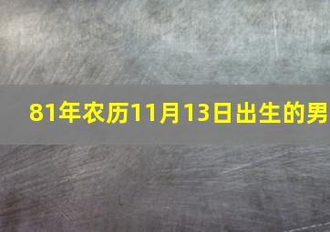 81年农历11月13日出生的男