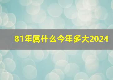 81年属什么今年多大2024