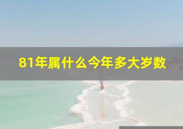 81年属什么今年多大岁数