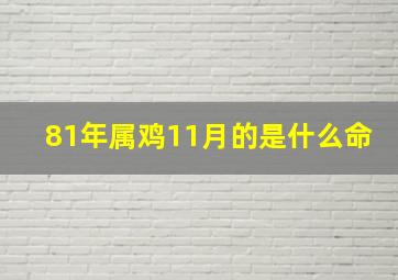 81年属鸡11月的是什么命