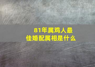 81年属鸡人最佳婚配属相是什么