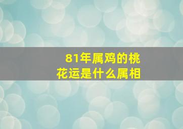 81年属鸡的桃花运是什么属相