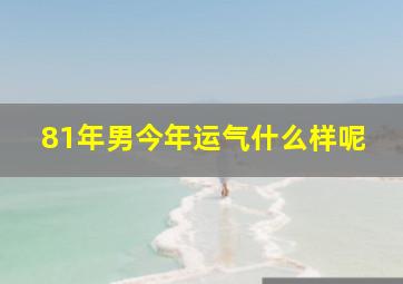 81年男今年运气什么样呢