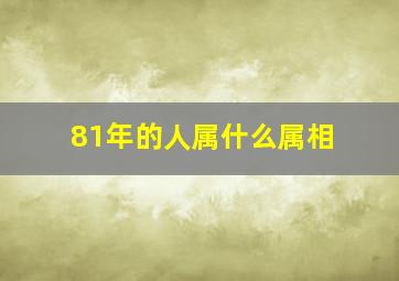 81年的人属什么属相